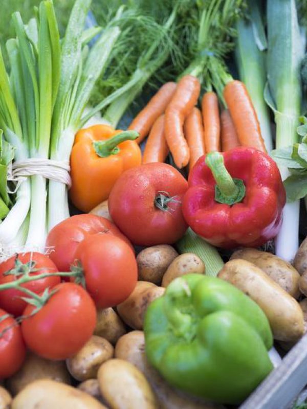 harvest bio salad leek tomatoes potatoes carrot food